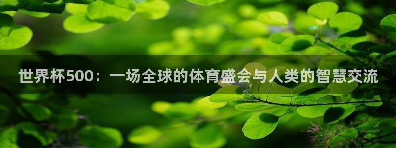 世界杯预选赛规则：世界杯500：一场全球的体育盛会与人类的智慧交流