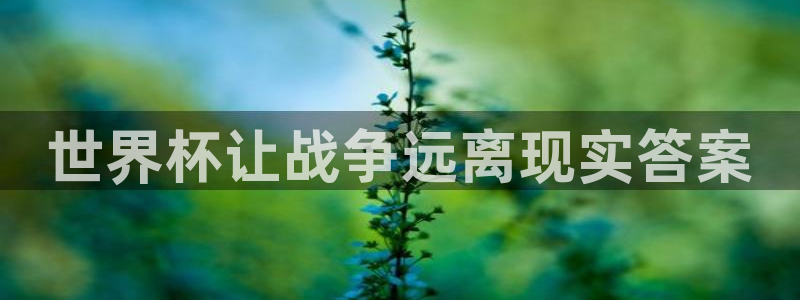 2026年足球世界杯赛程时间表：世界杯让战争远离现实答案