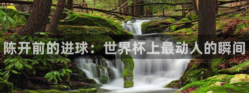2026世界杯德国队阵容：陈开前的进球：世界杯上最动人的瞬间