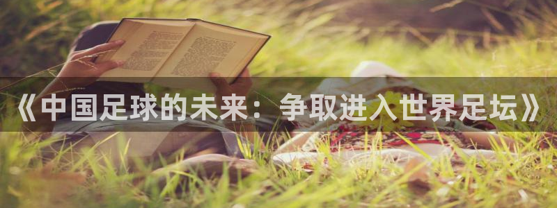 世界杯系列赛：《中国足球的未来：争取进入世界足坛》