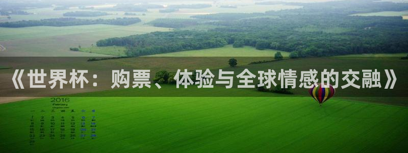 欧洲区世界杯预选赛：《世界杯：购票、体验与全球情感的交融》