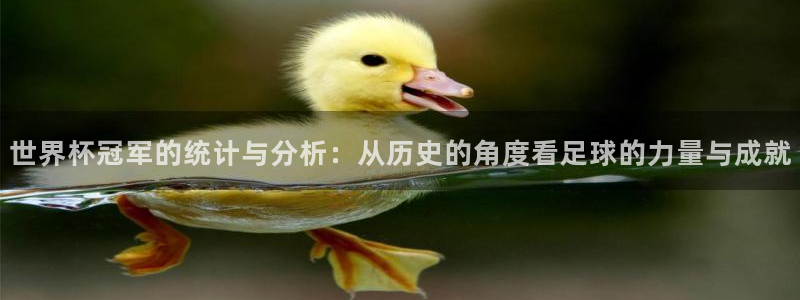 世界杯足球赛2026赛程时间：世界杯冠军的统计与分析：从历史的角度看足球的力量与成就