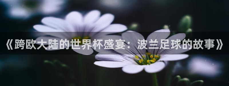 世界杯预选赛亚洲区赛程：《跨欧大陆的世界杯盛宴：波兰足球的故事》
